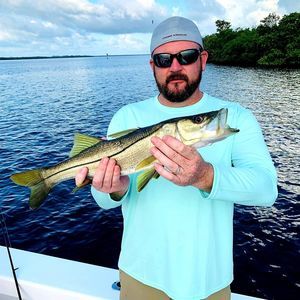 Meet your Posher, Art